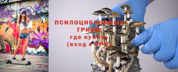 мескалин Аркадак