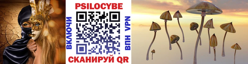 Галлюциногенные грибы Psilocybine cubensis  Купить где  Далматово 