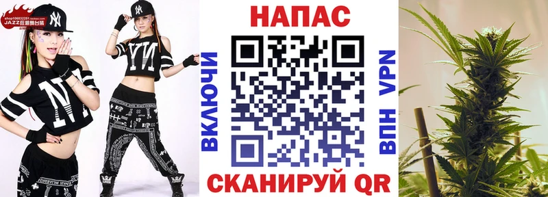 Купить закладки  Далматово  Каннабис ГИДРОПОН 